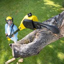 Best Lawn Mowing Services  in Rockport, TX